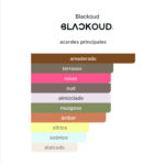 BLACKOUD BY DREW EXTRAIT - Imagen 2