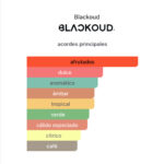 BLACKOUD BY LLERMO EXTRAIT - Imagen 2