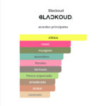 BLACKOUD DUBAI NIGHT EXTRAIT - Imagen 2