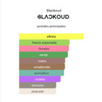 BLACKOUD OPULENT EXTRAIT - Imagen 2